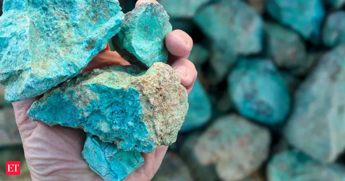 Lower house passes amendments curbing states power to tax minerals